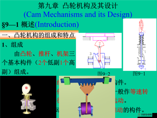 性别自由凸轮管阿拉伯相关探讨及应用分析